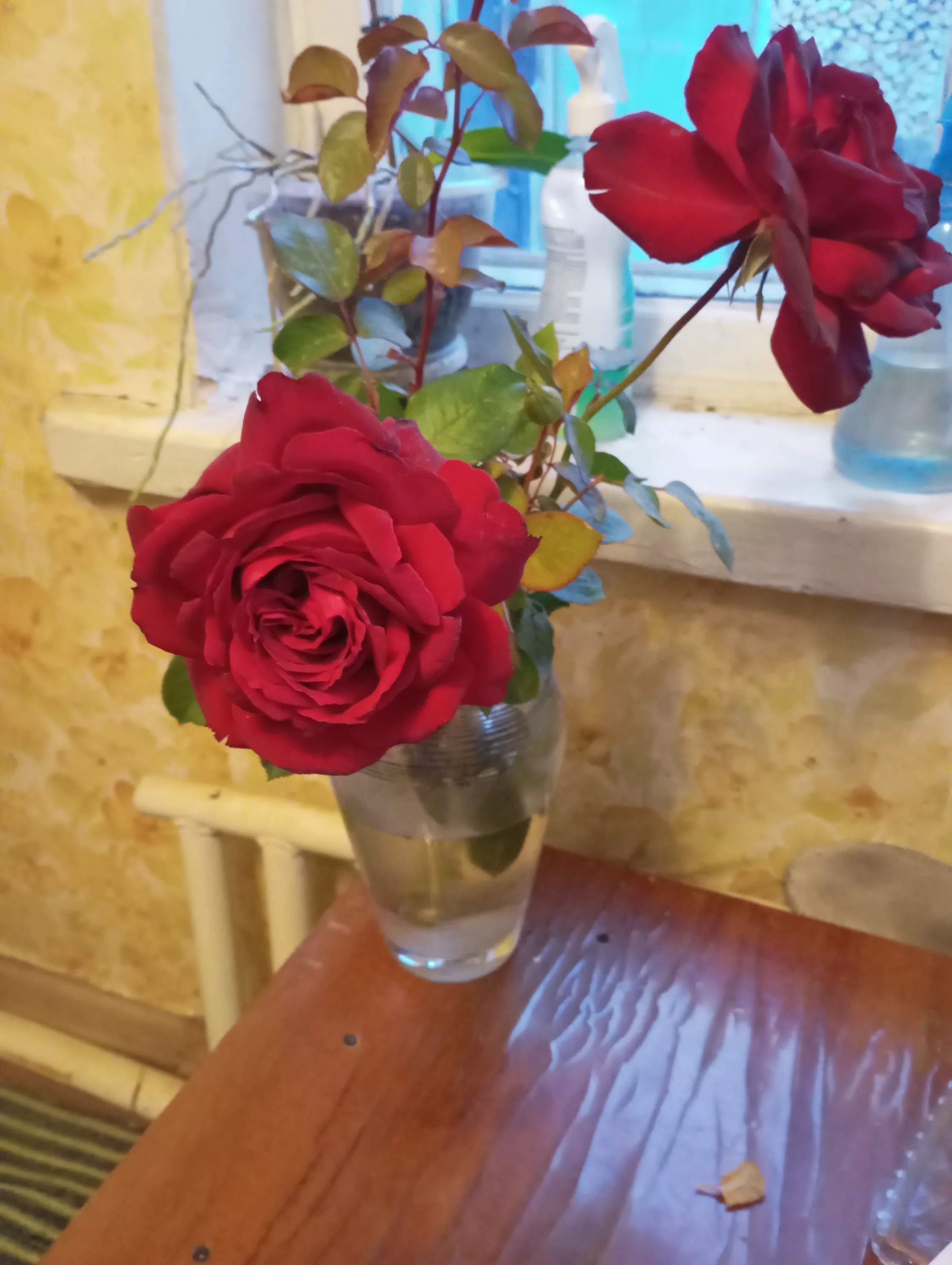 IMG_20251011_181114.webp