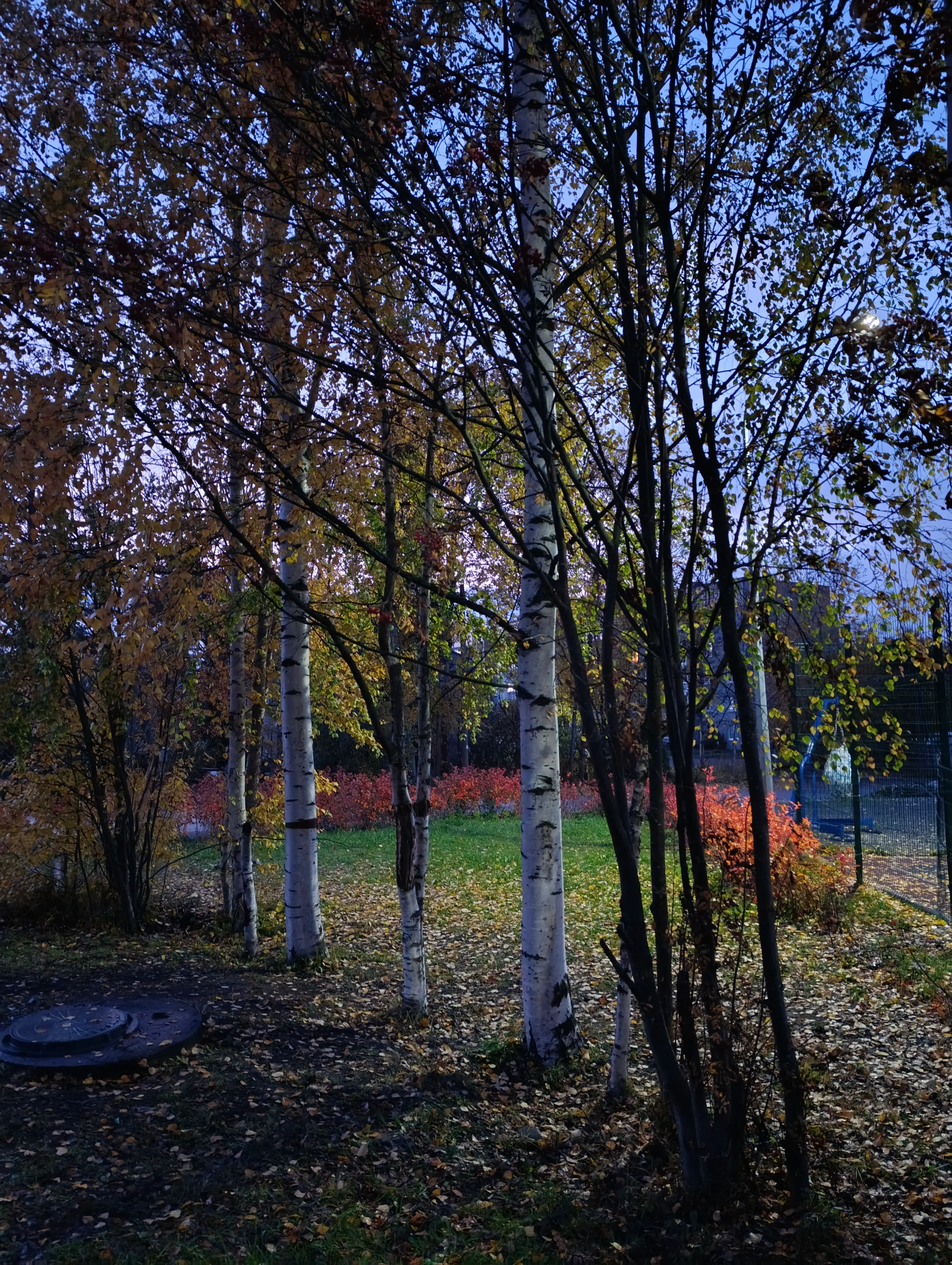 IMG_20251011_181601.webp