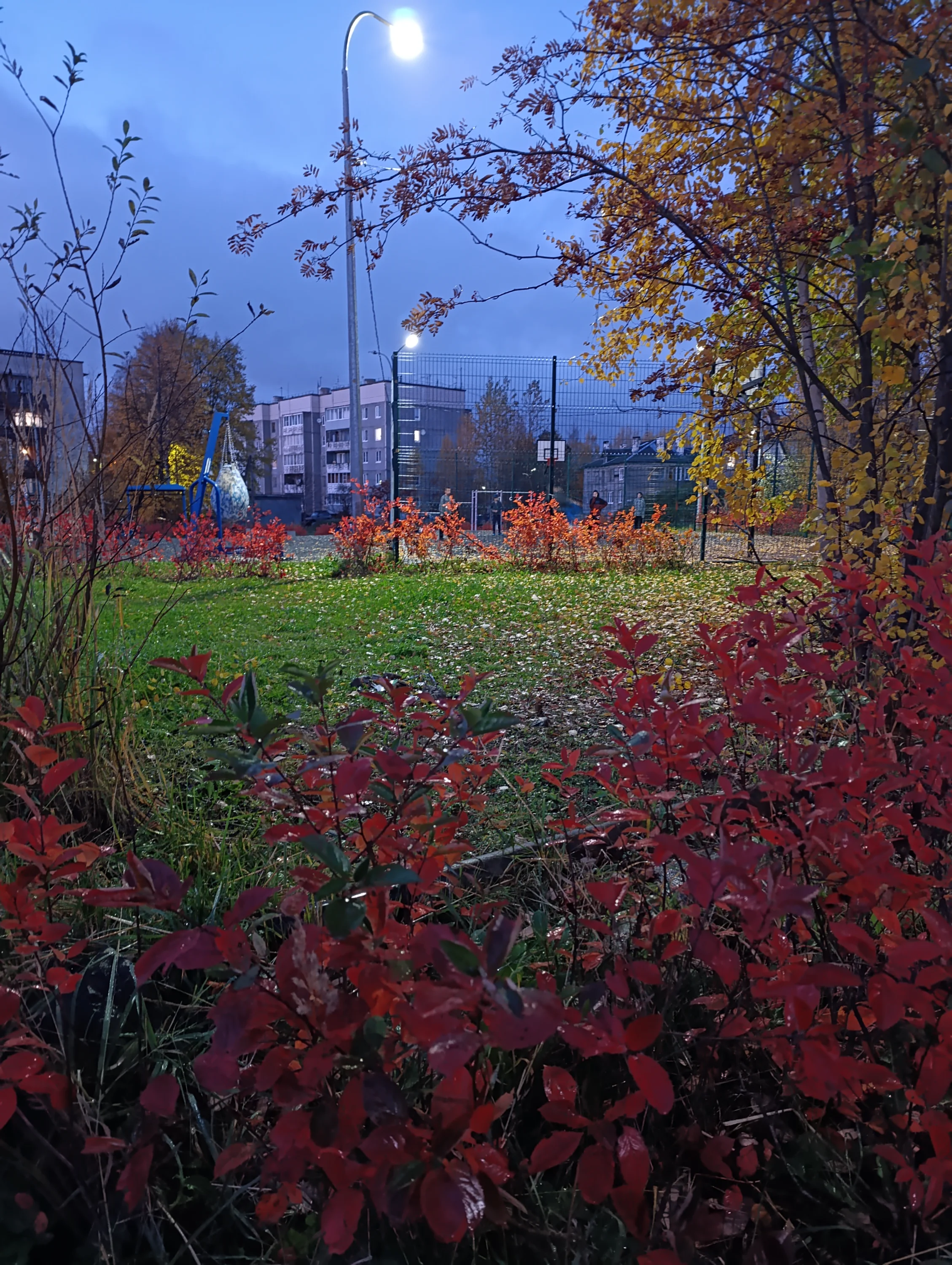 IMG_20251011_181629.webp