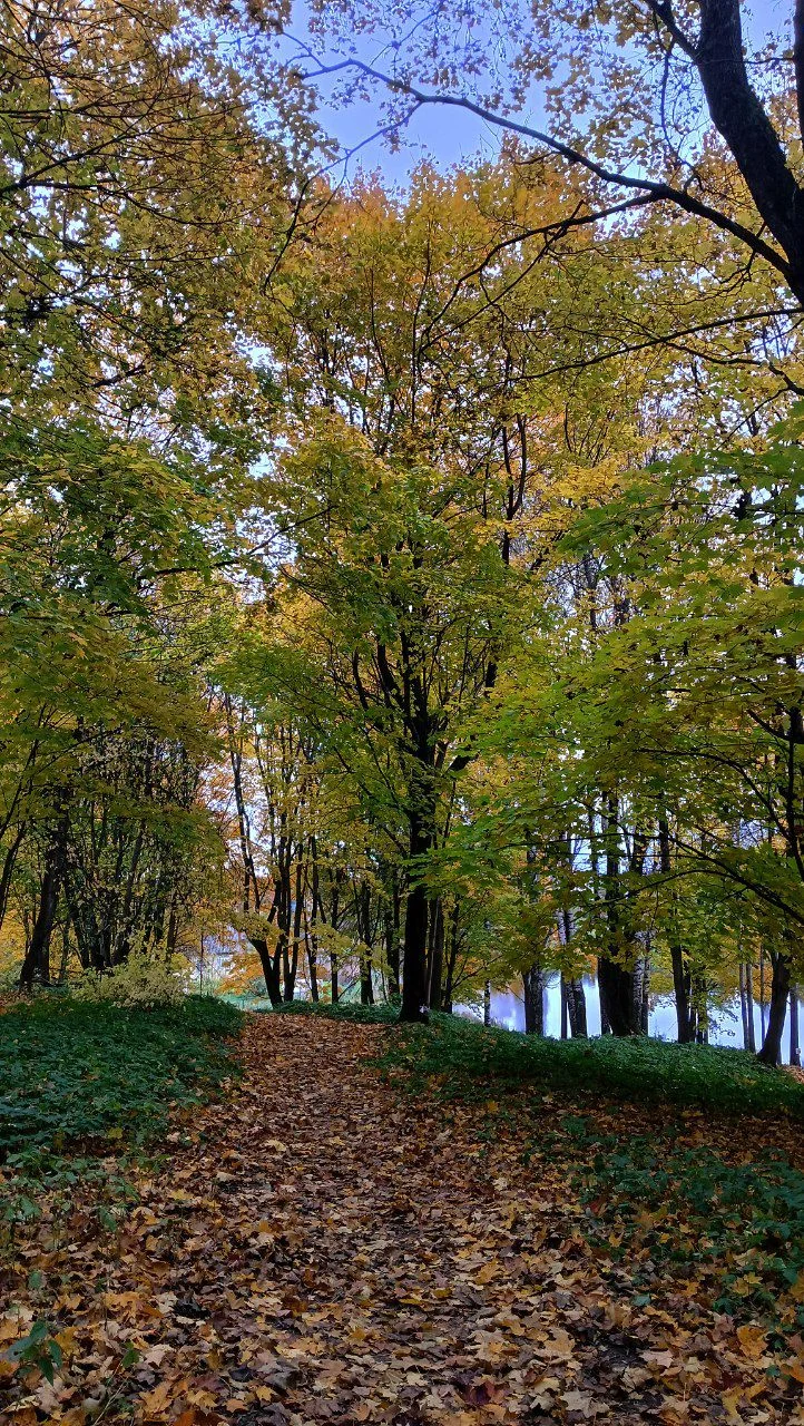 img_20251012_151152_973-webp.2226950