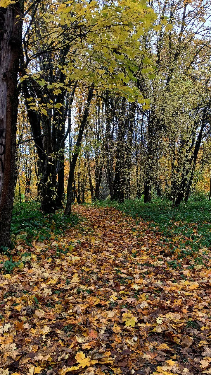 img_20251012_151223_419-webp.2226951