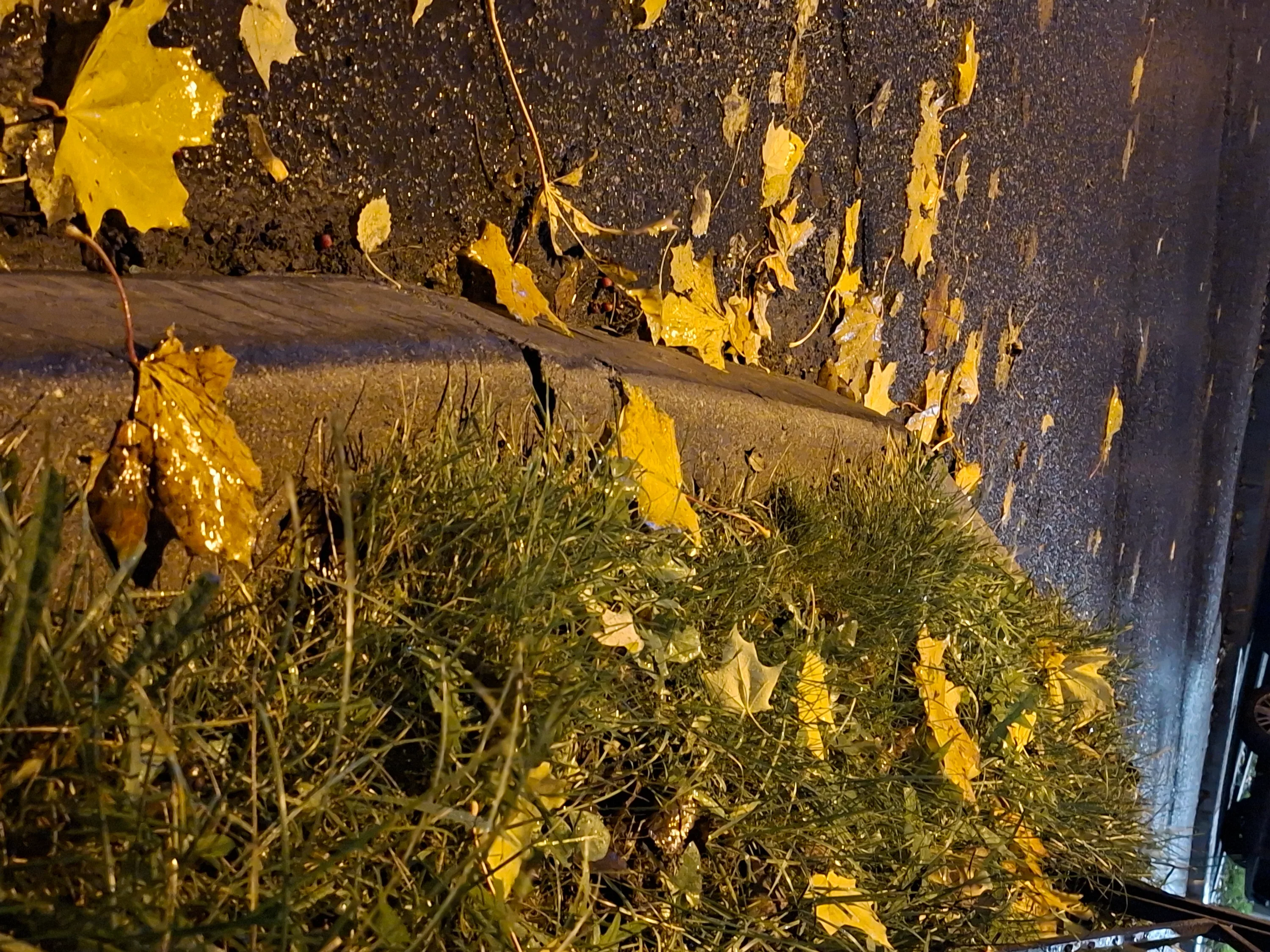 IMG_20251014_191416_095.webp