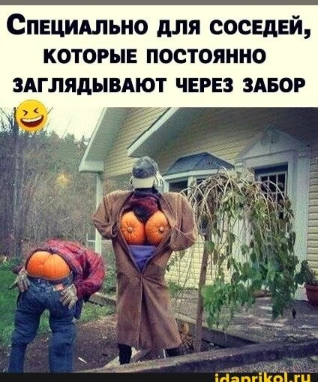 IMG_20251017_192759.webp