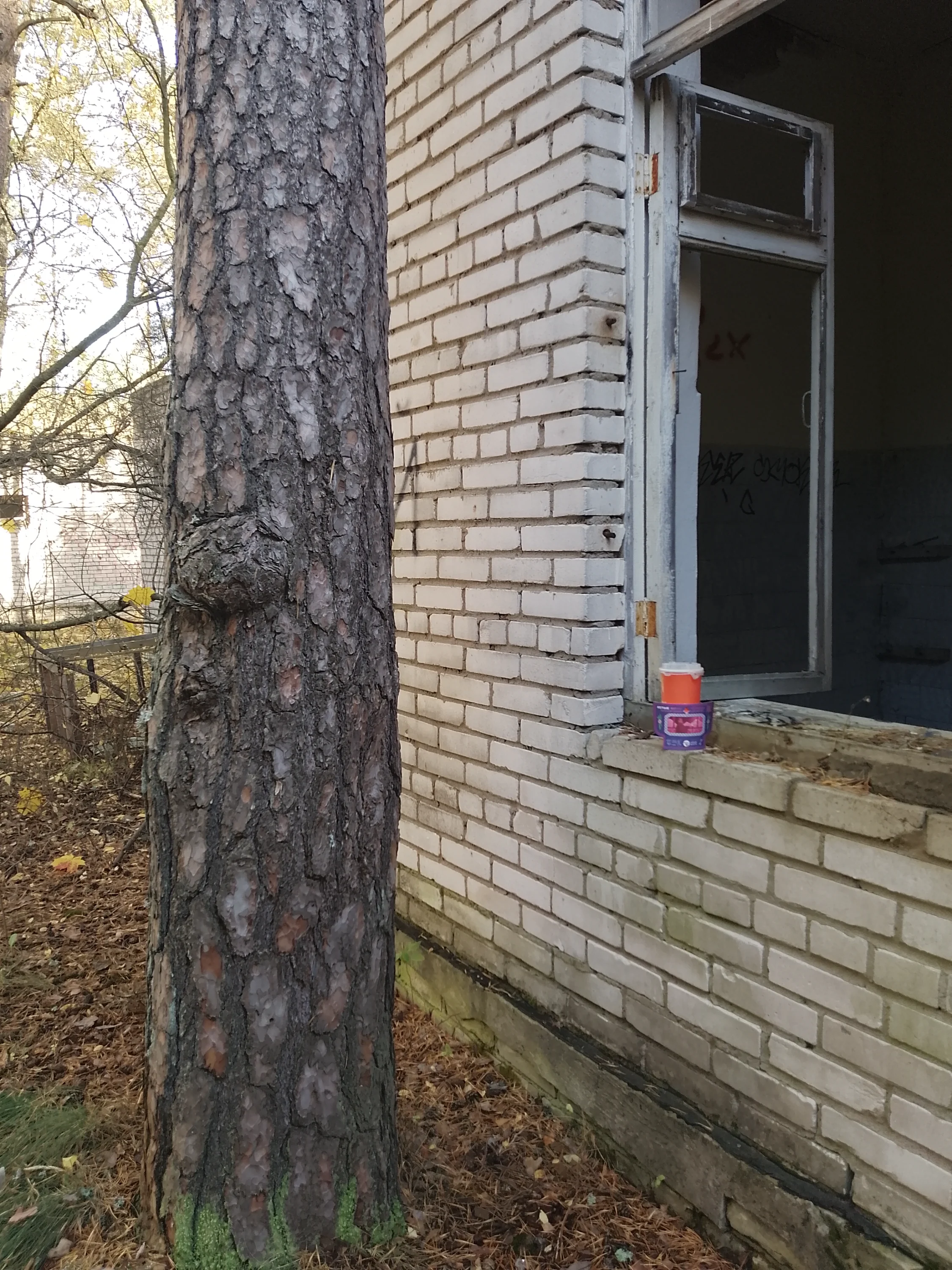 IMG_20251018_122105_767.webp