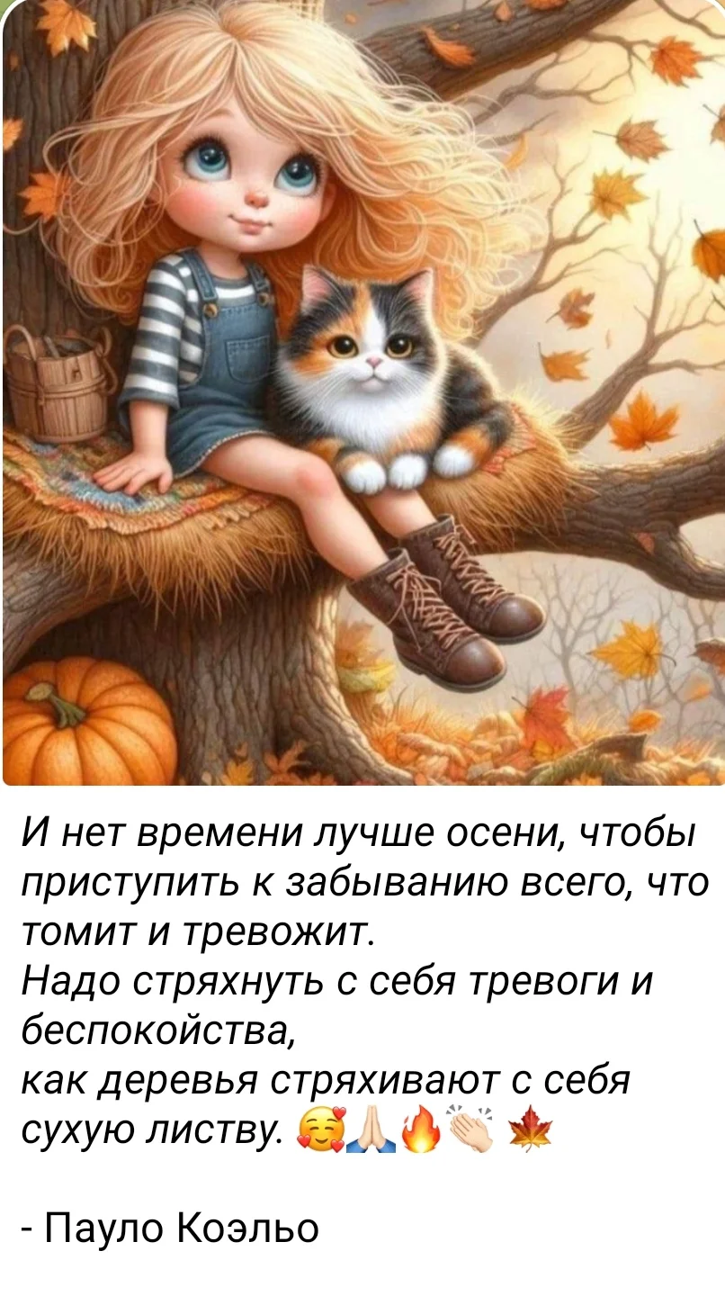 IMG_20251019_084926.webp