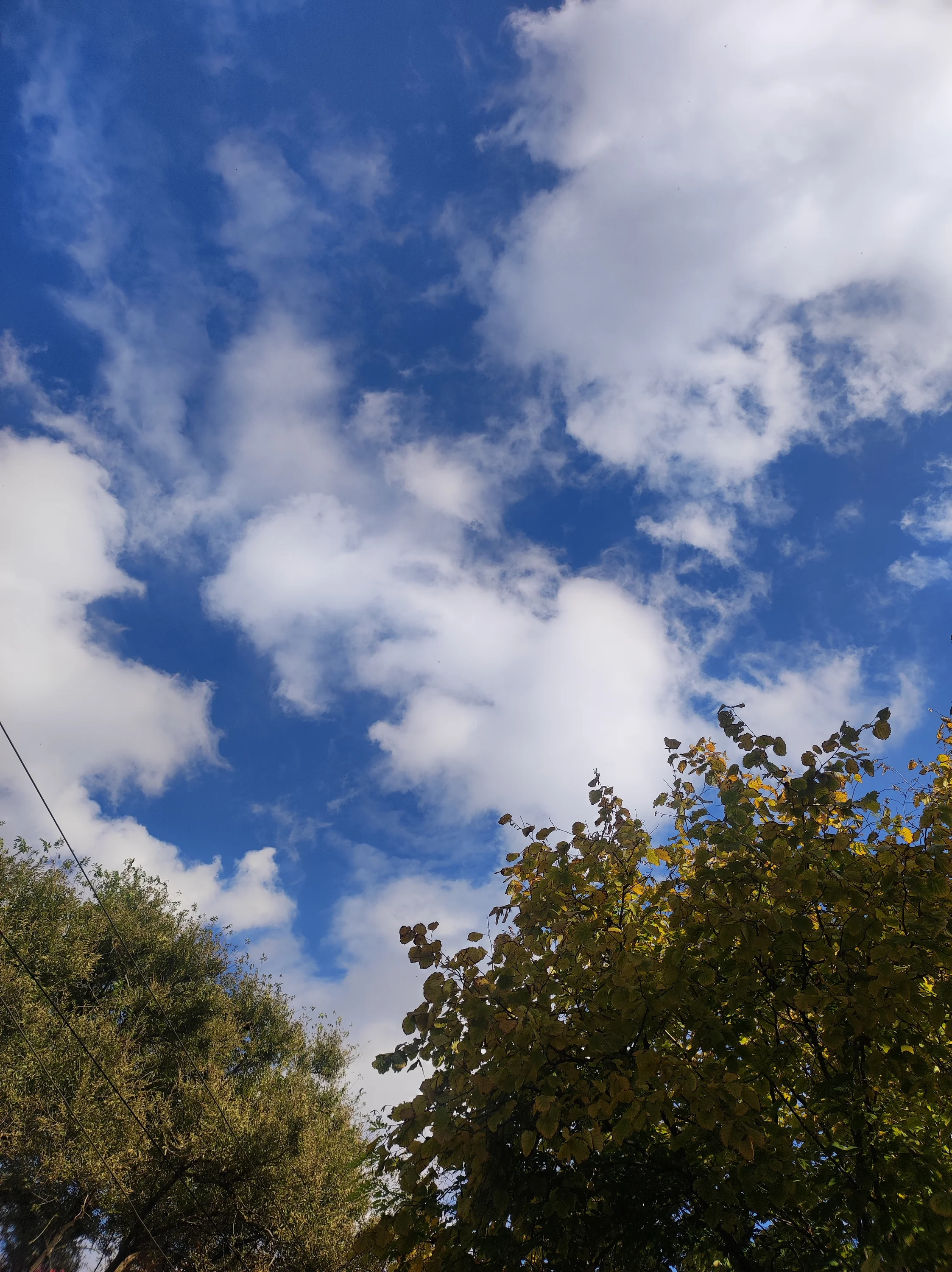 IMG_20251022_133750.webp