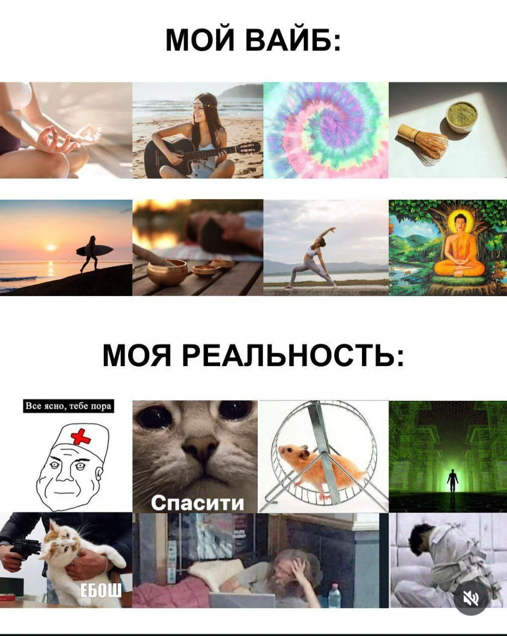IMG_20251022_170903_091.webp