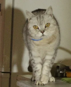 IMG_2274 — копия.webp