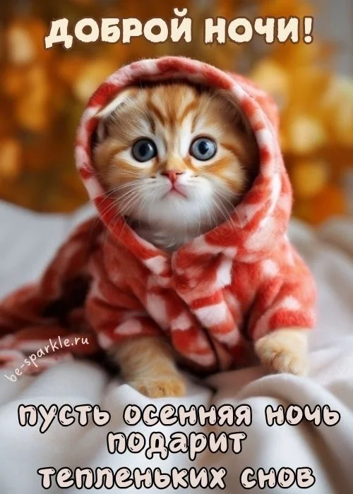 IMG_2280.webp
