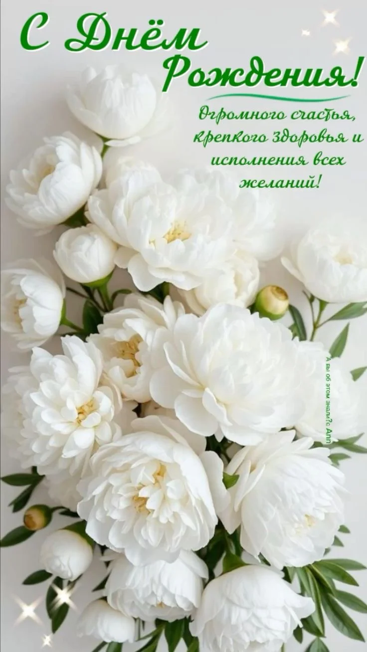 IMG_2471.webp
