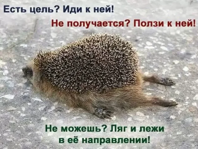 IMG_3012.webp