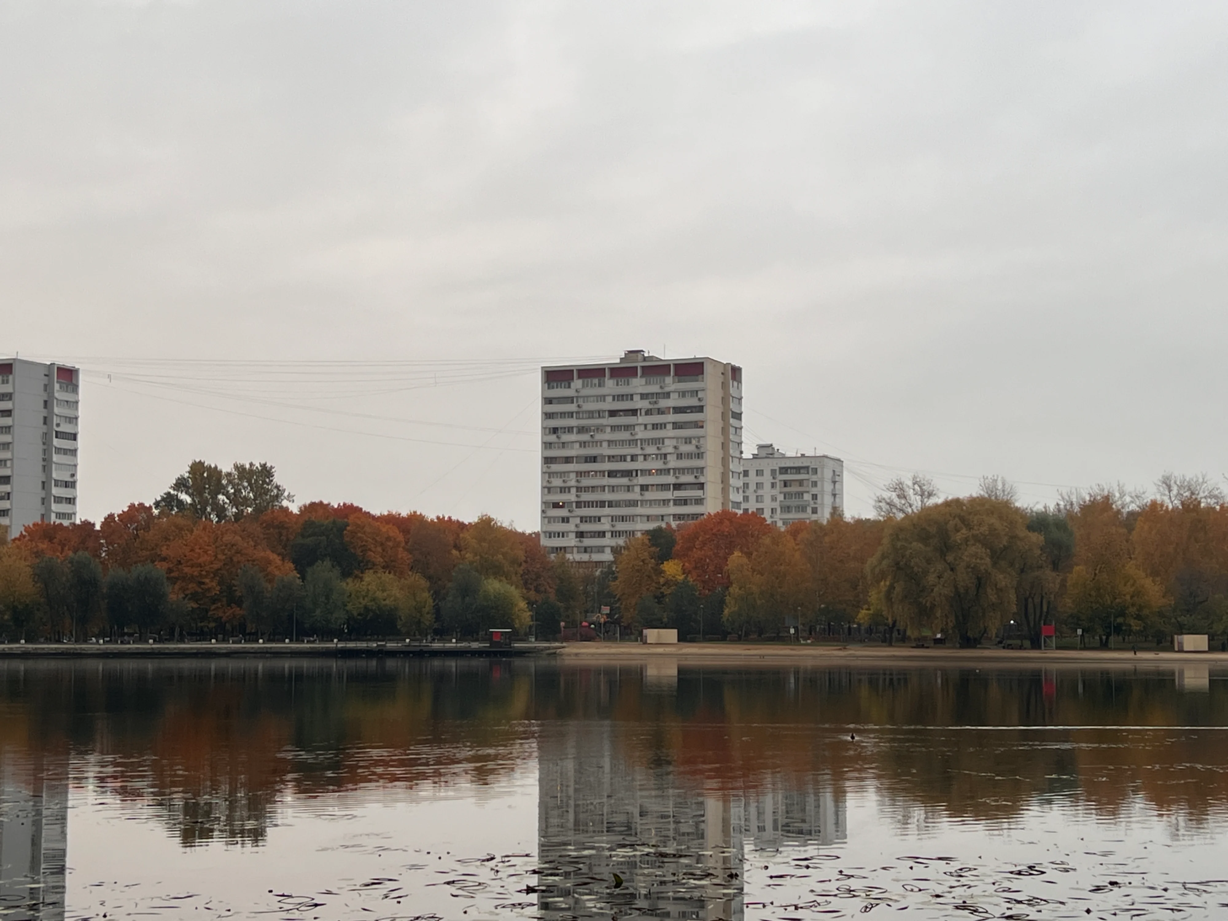 img_3036-webp.2225674