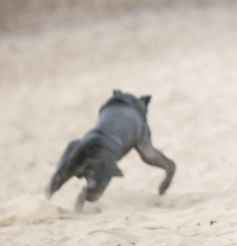 IMG_3105 - копия.webp