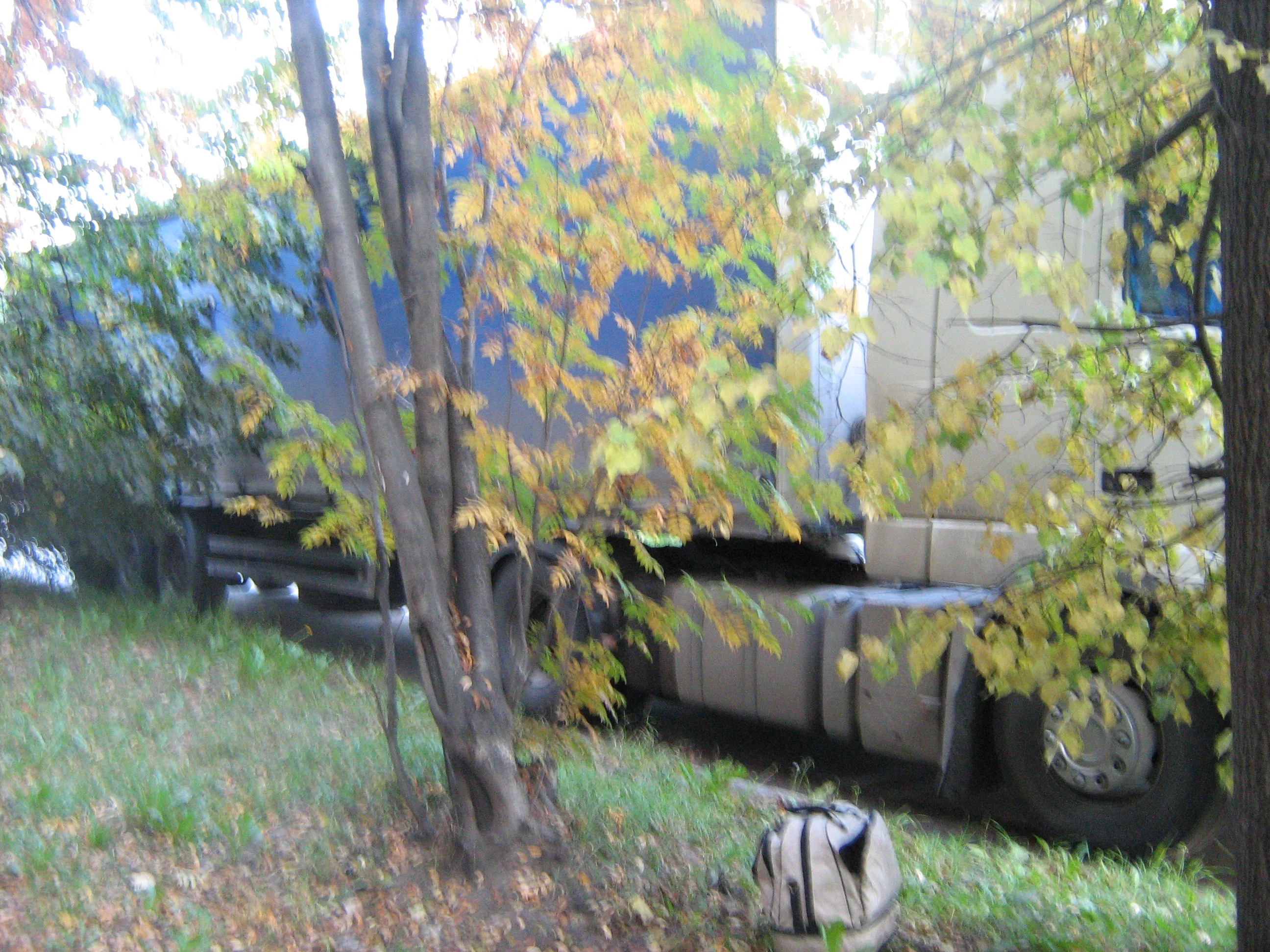 IMG_3145.webp