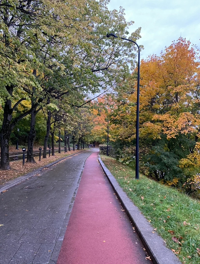 img_3189-webp.2225065