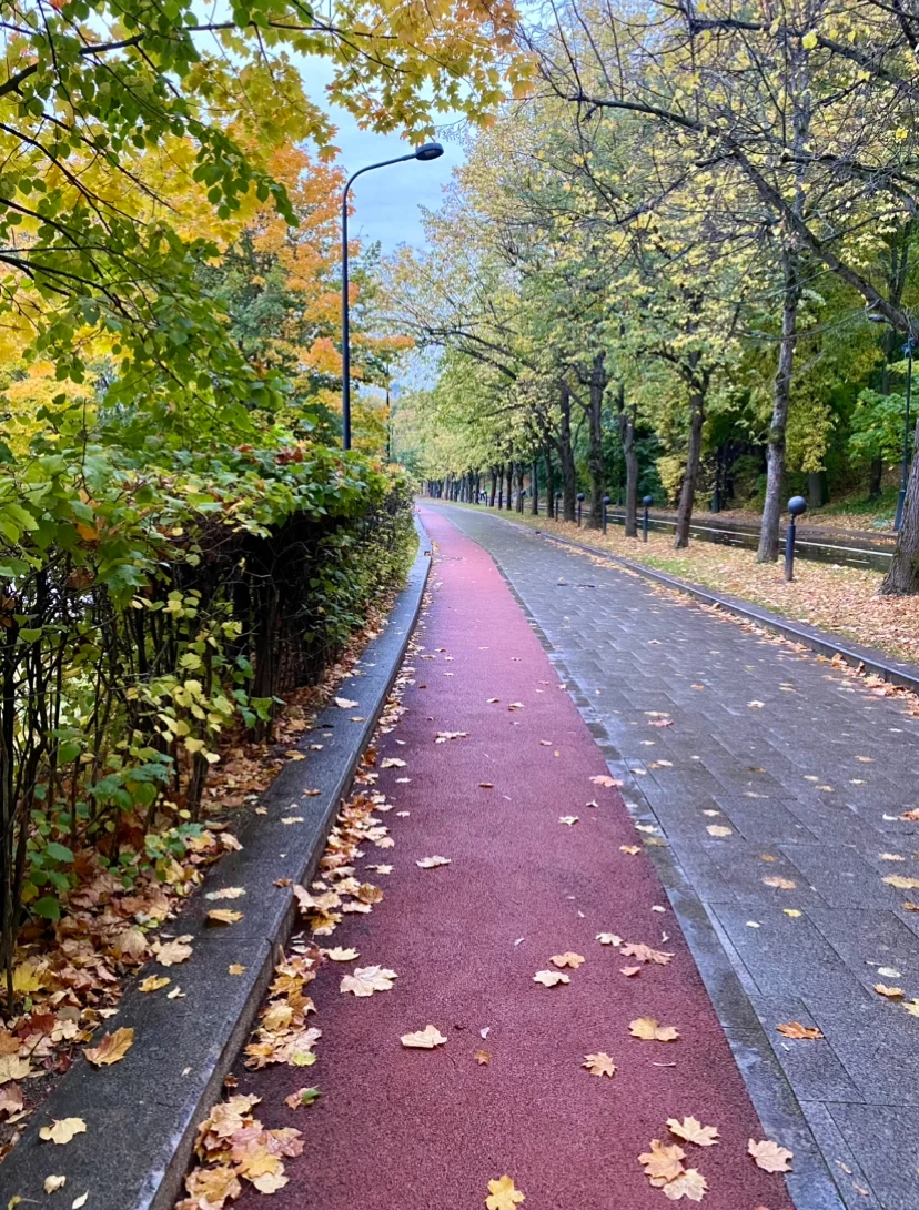 img_3190-webp.2225066