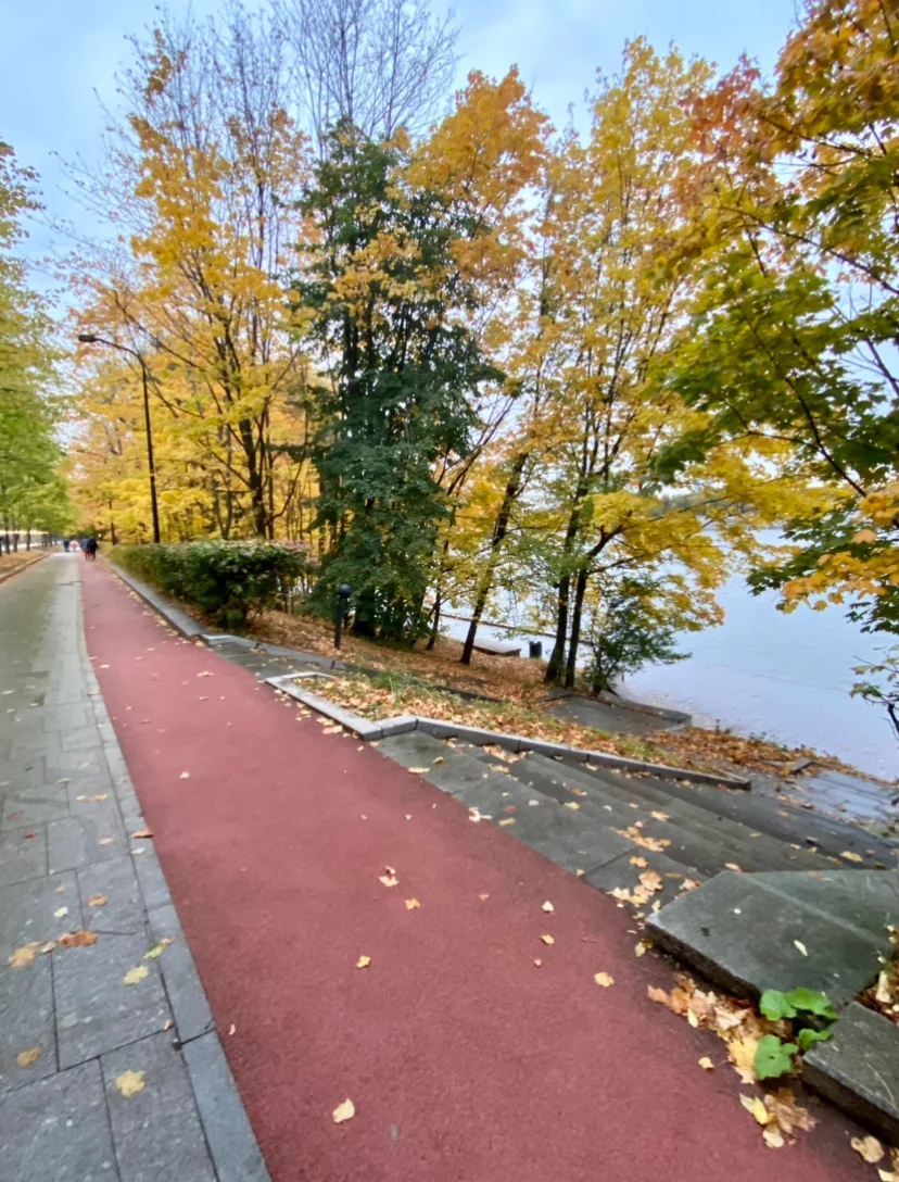 img_3191-webp.2225067