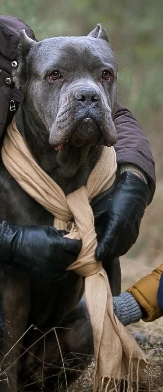 IMG_3198 - копия.webp