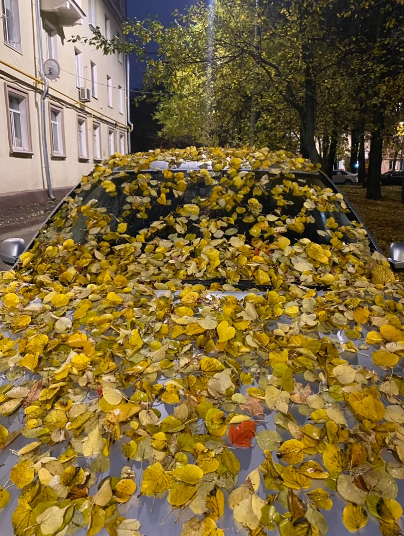 IMG_3296.webp