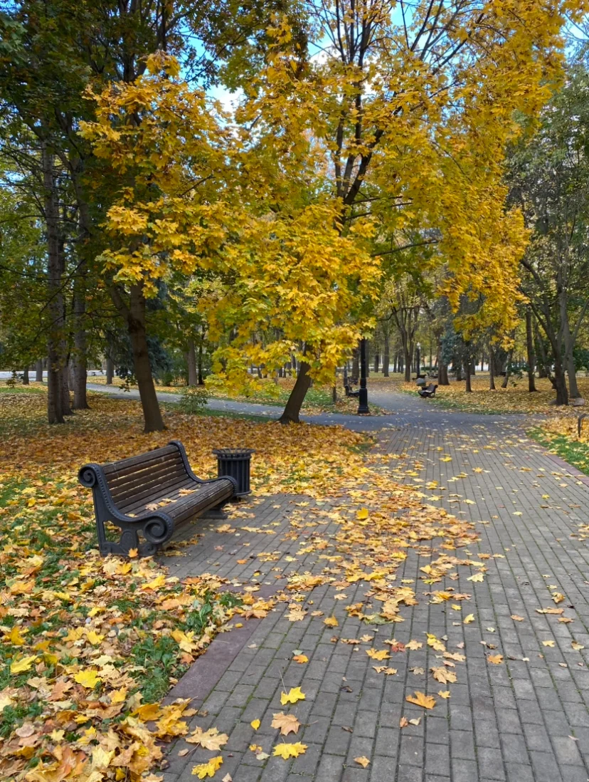 IMG_3342.webp