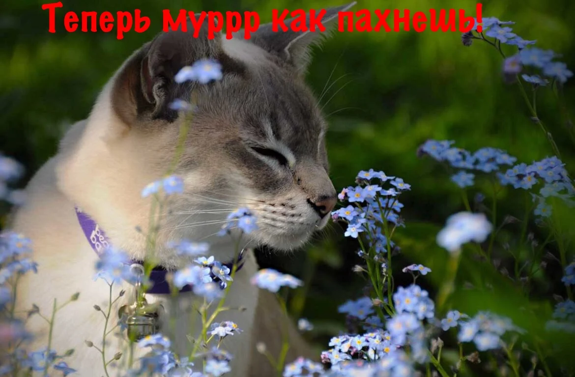 IMG_3750.webp