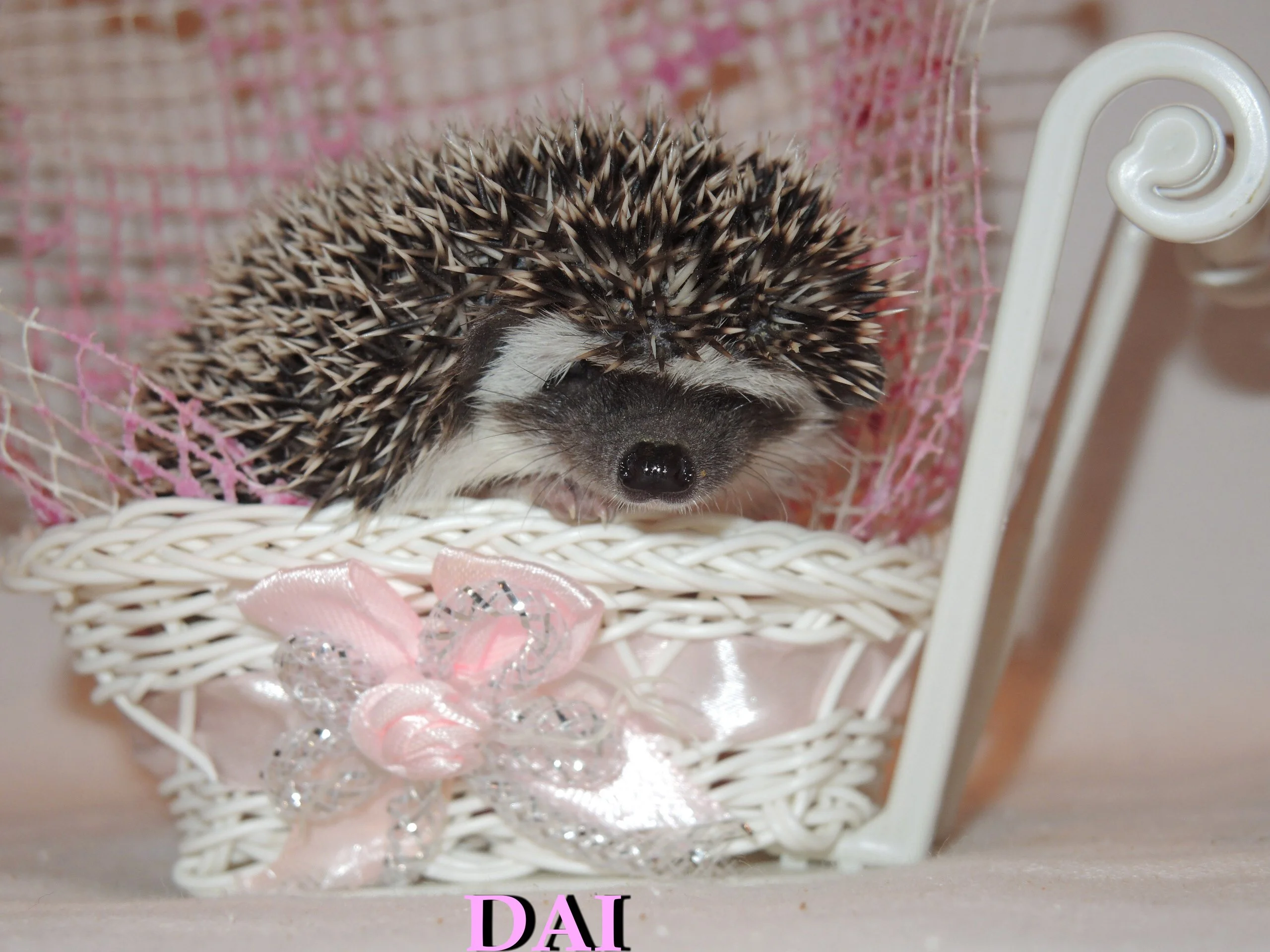 IMG_4002.webp