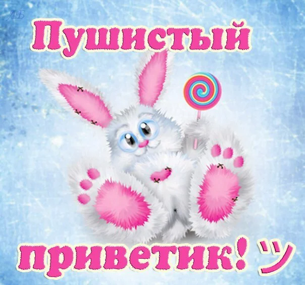IMG_4096.webp