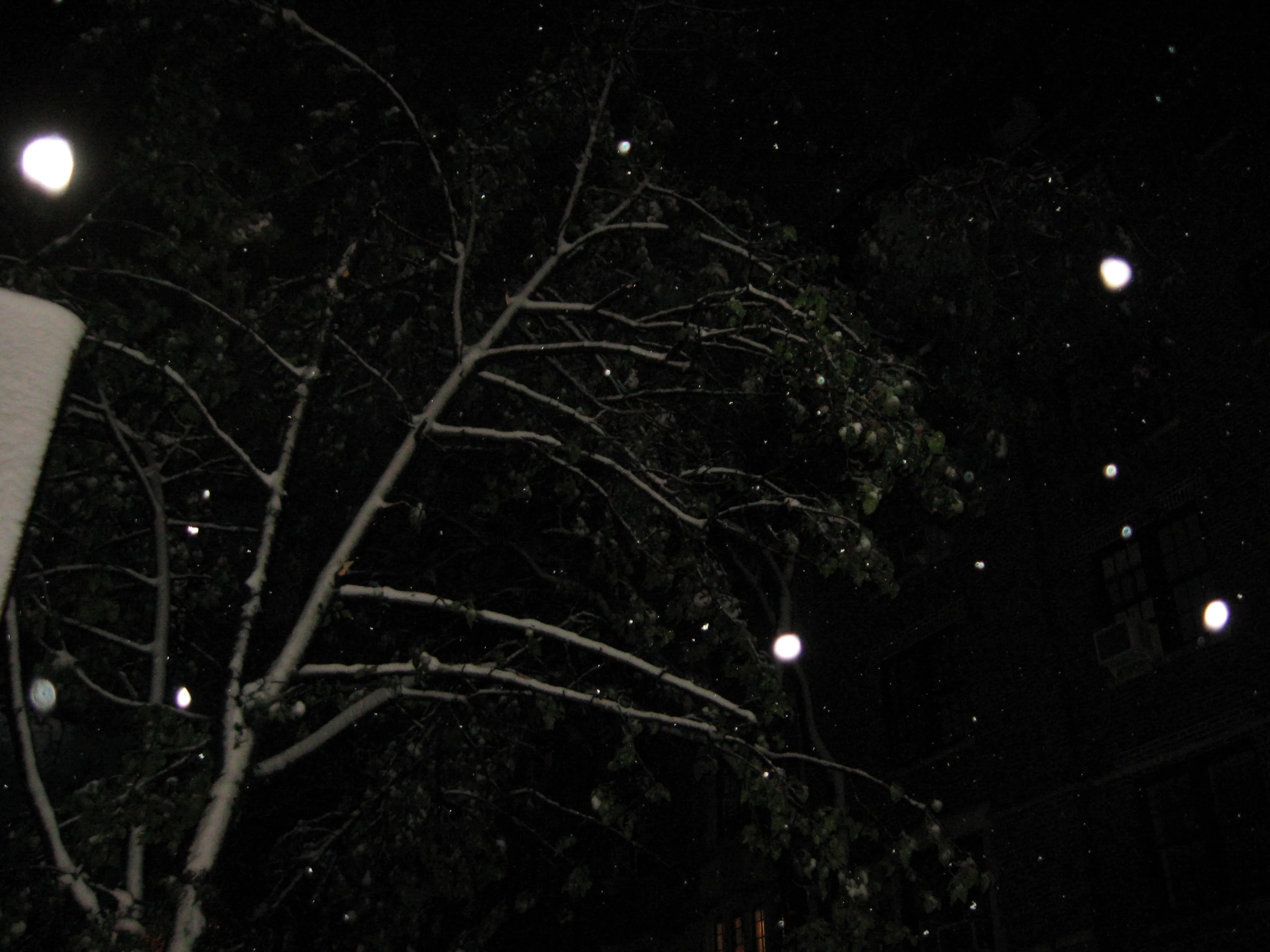 IMG_4142.webp