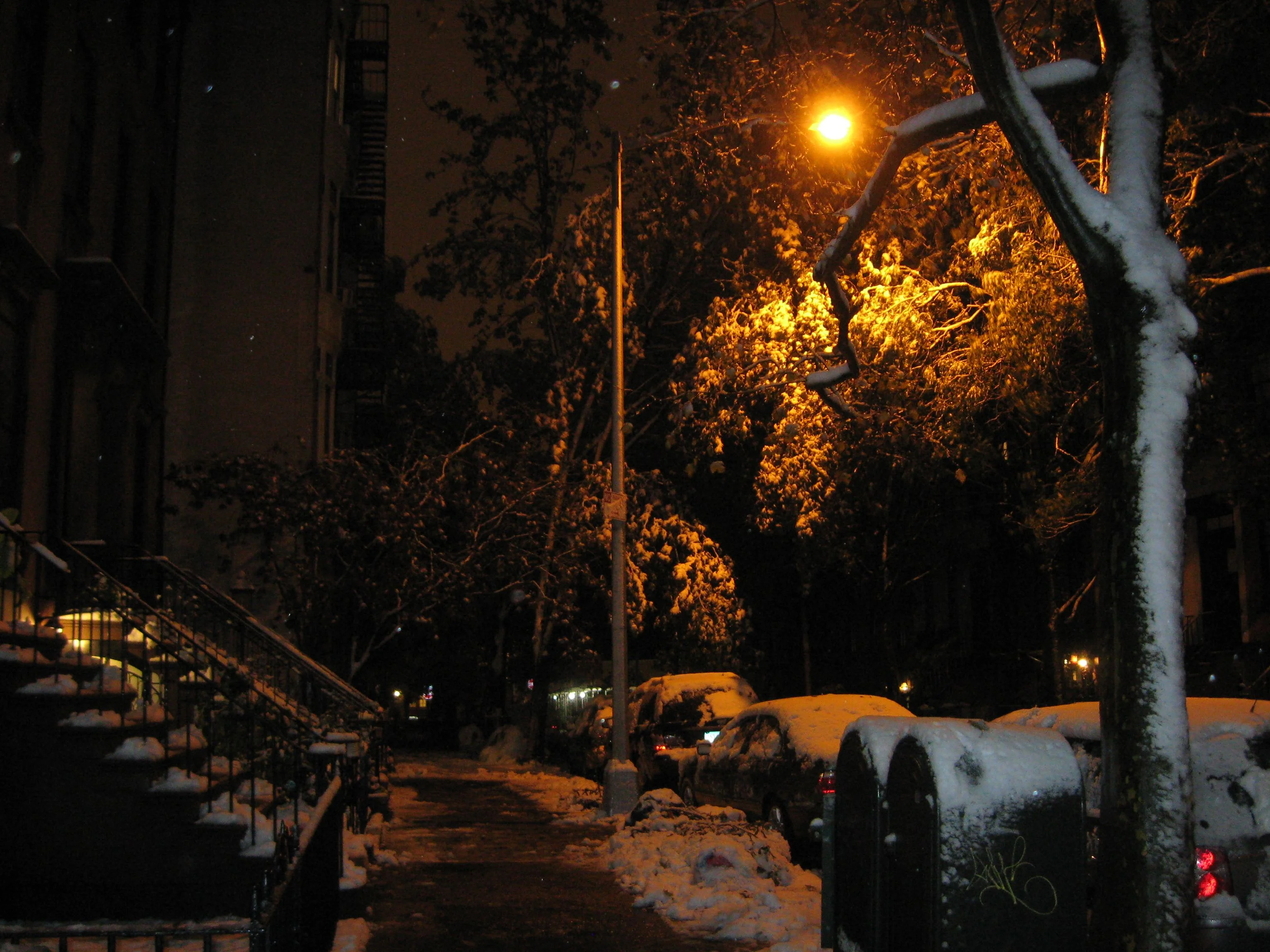 IMG_4146.webp