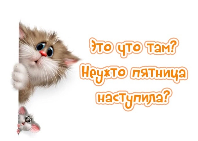 IMG_4283.webp