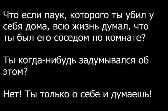 IMG_4294.webp