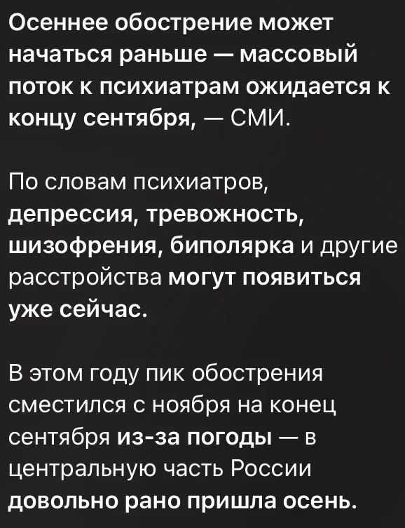 IMG_4309.webp