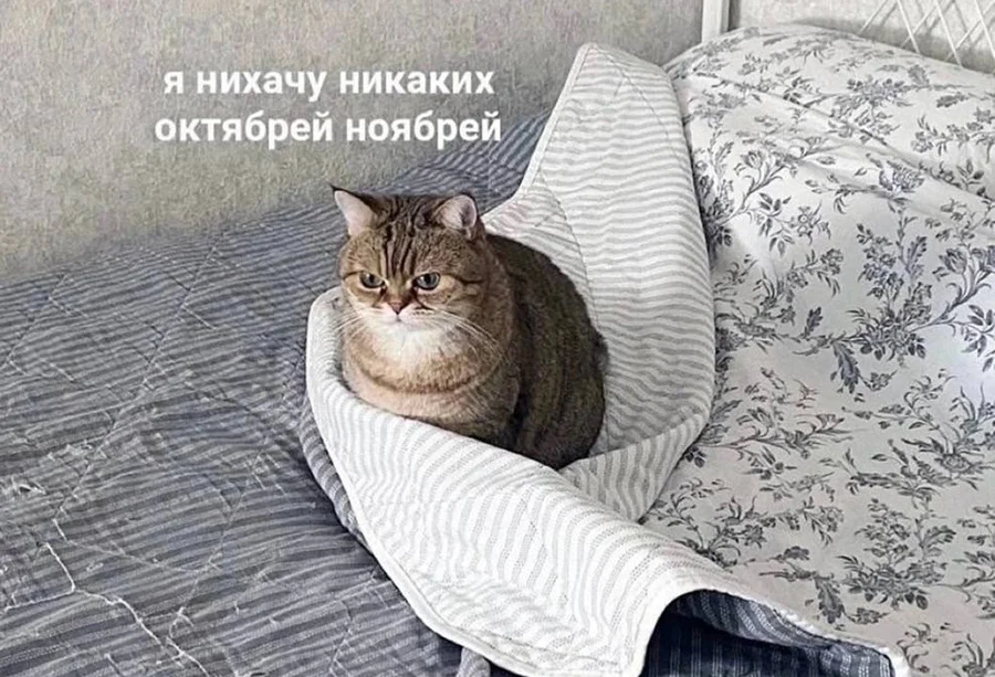 IMG_4513.webp