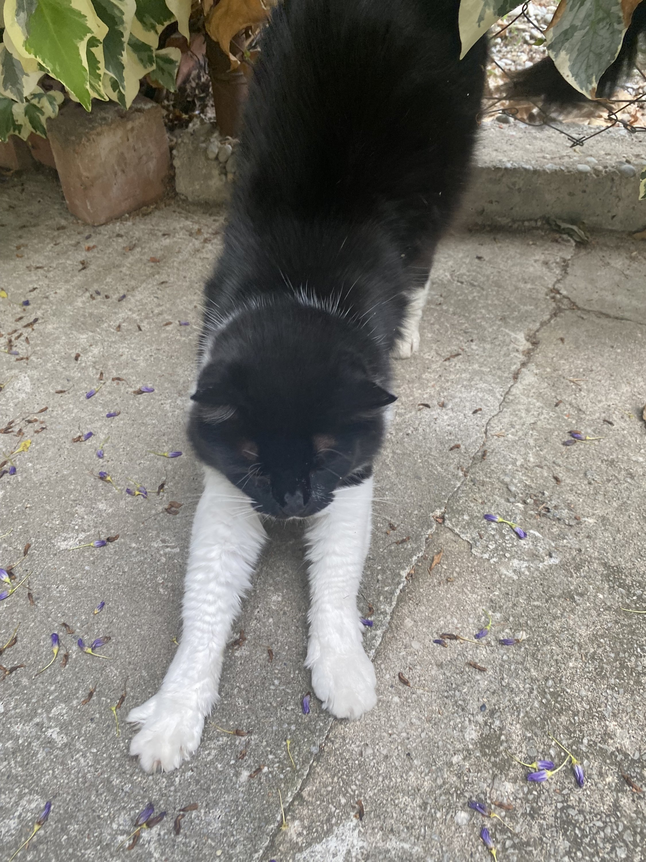 IMG_5091.jpeg