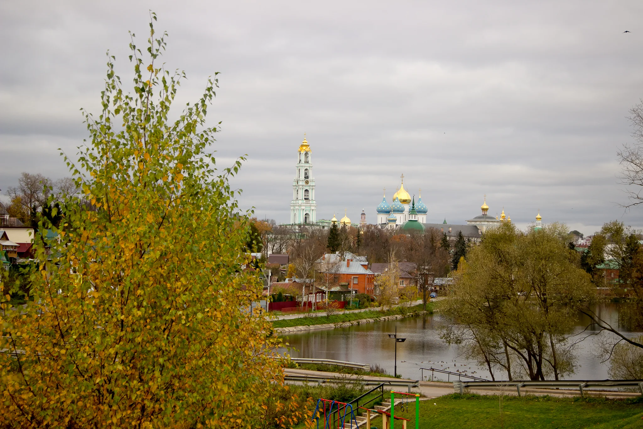 IMG_7012-99.webp