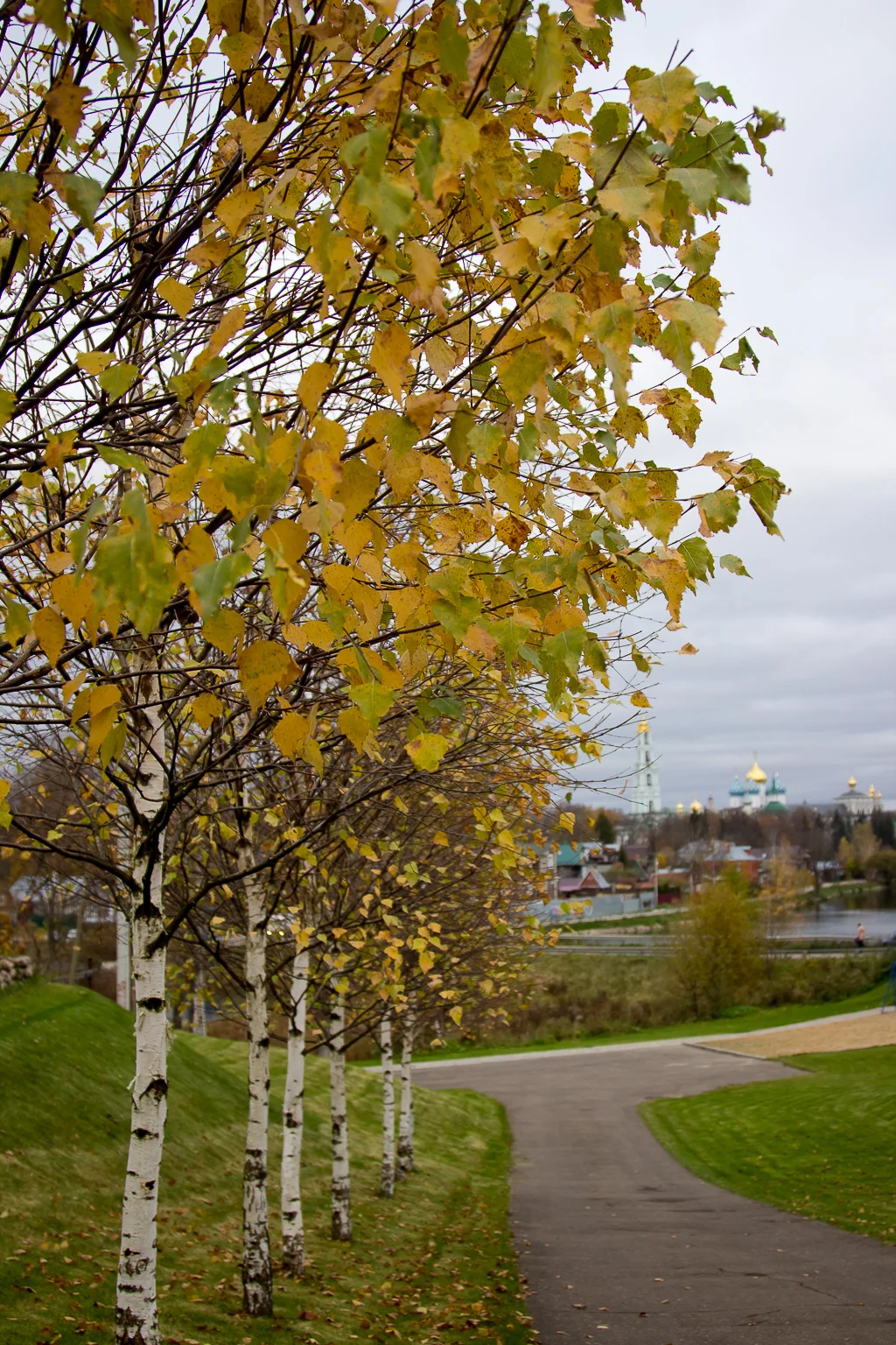 IMG_7014-85.webp