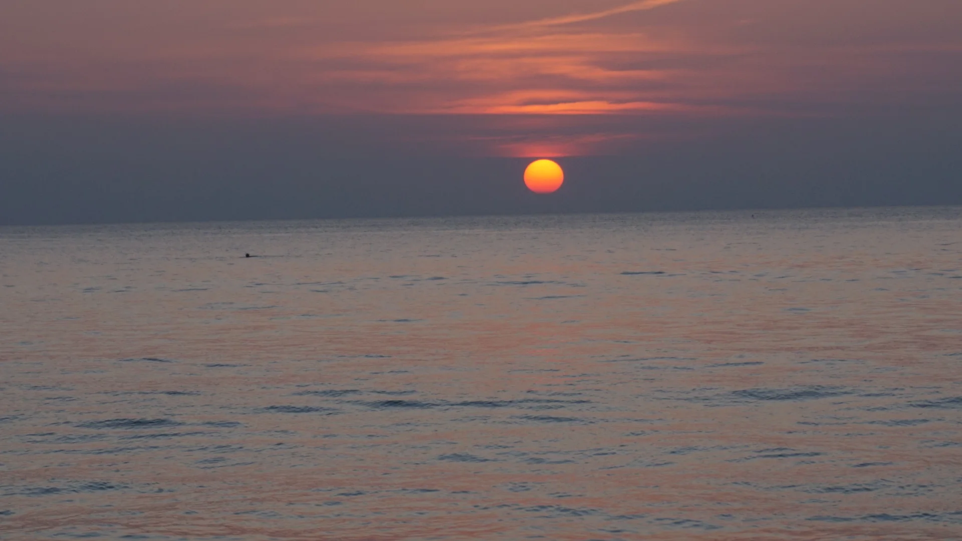 IMG_7921.webp