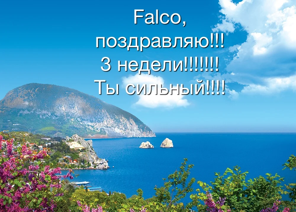 IMG_8561.webp