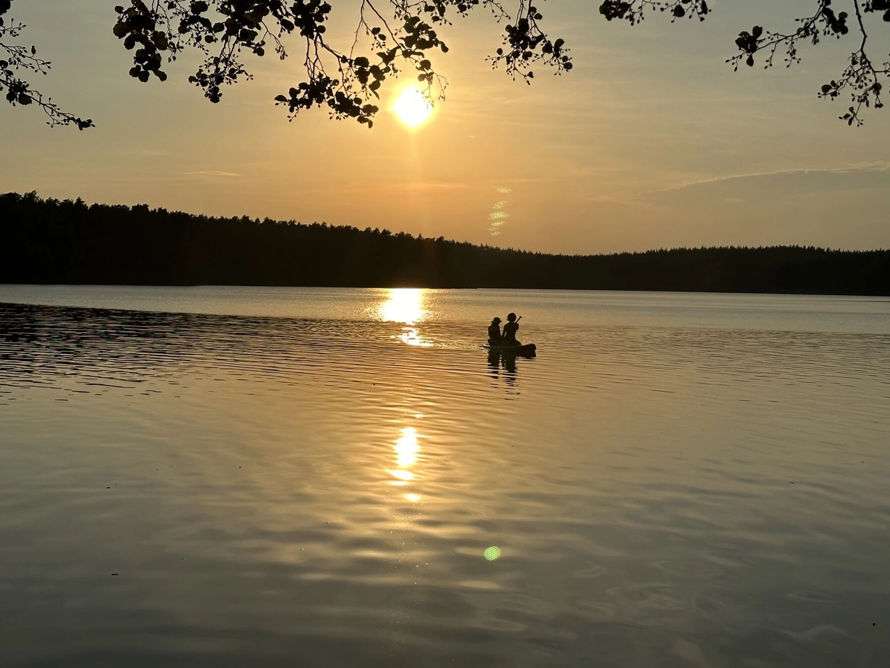 IMG_8597 — крупный размер.webp