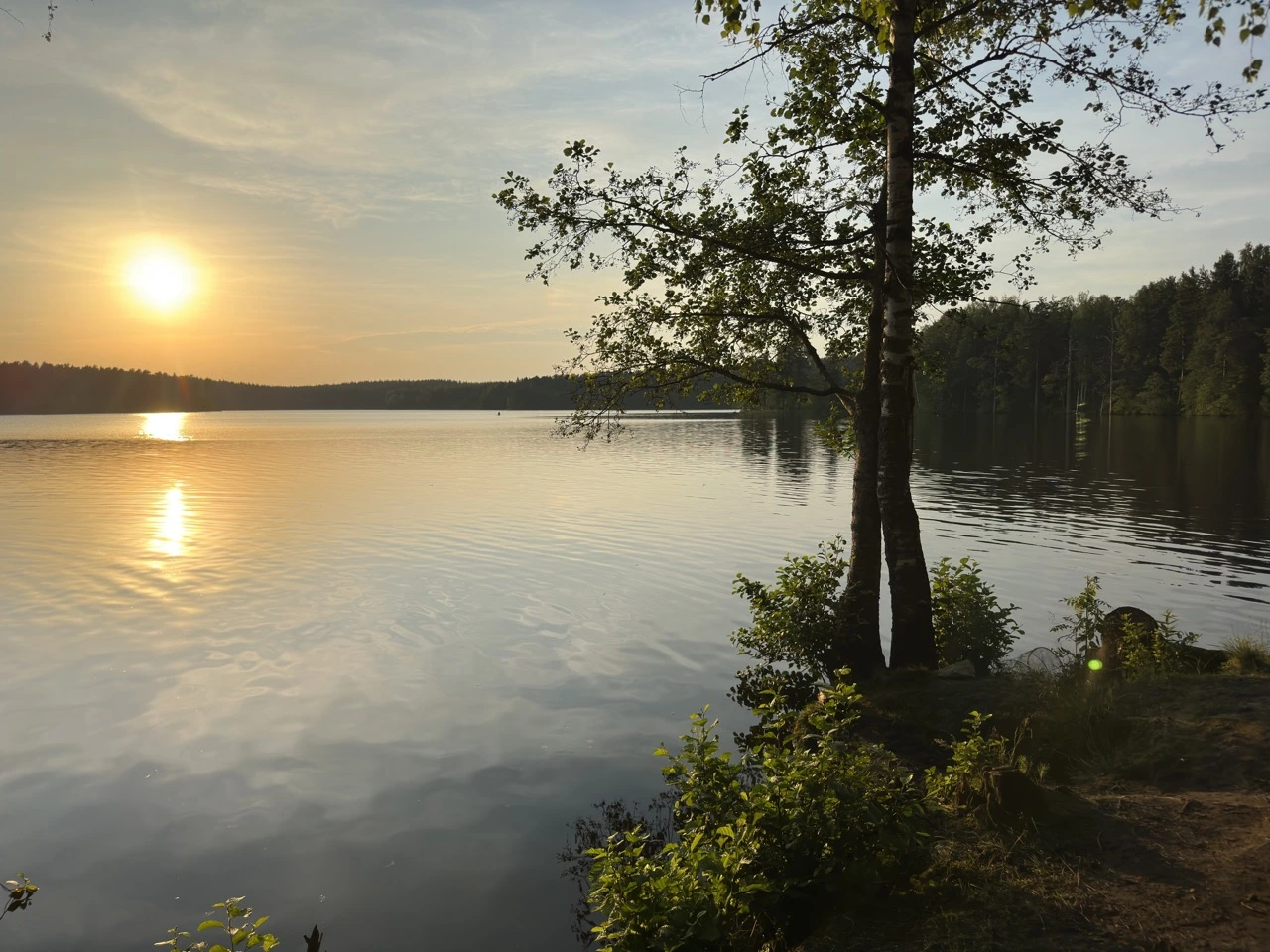 IMG_8609 — крупный размер.webp