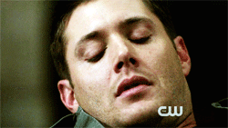 IMG_8744.gif