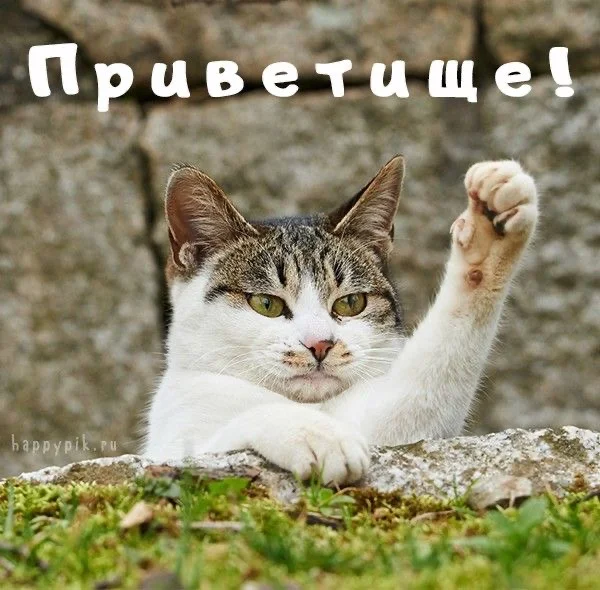 IMG_8761.webp