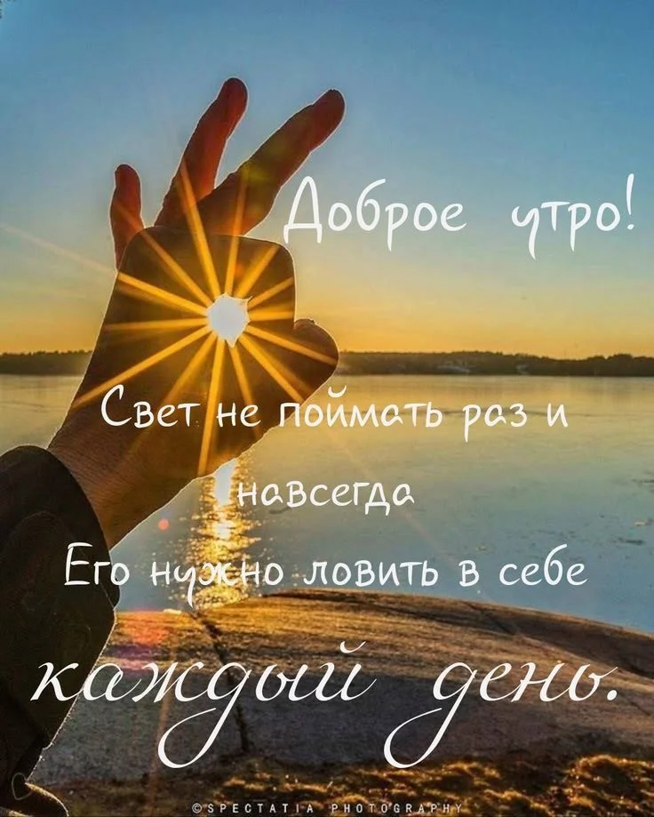 IMG_8803.webp