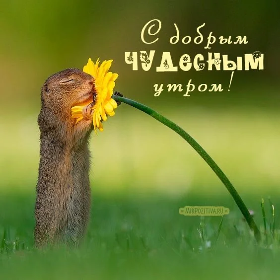 IMG_8873.webp