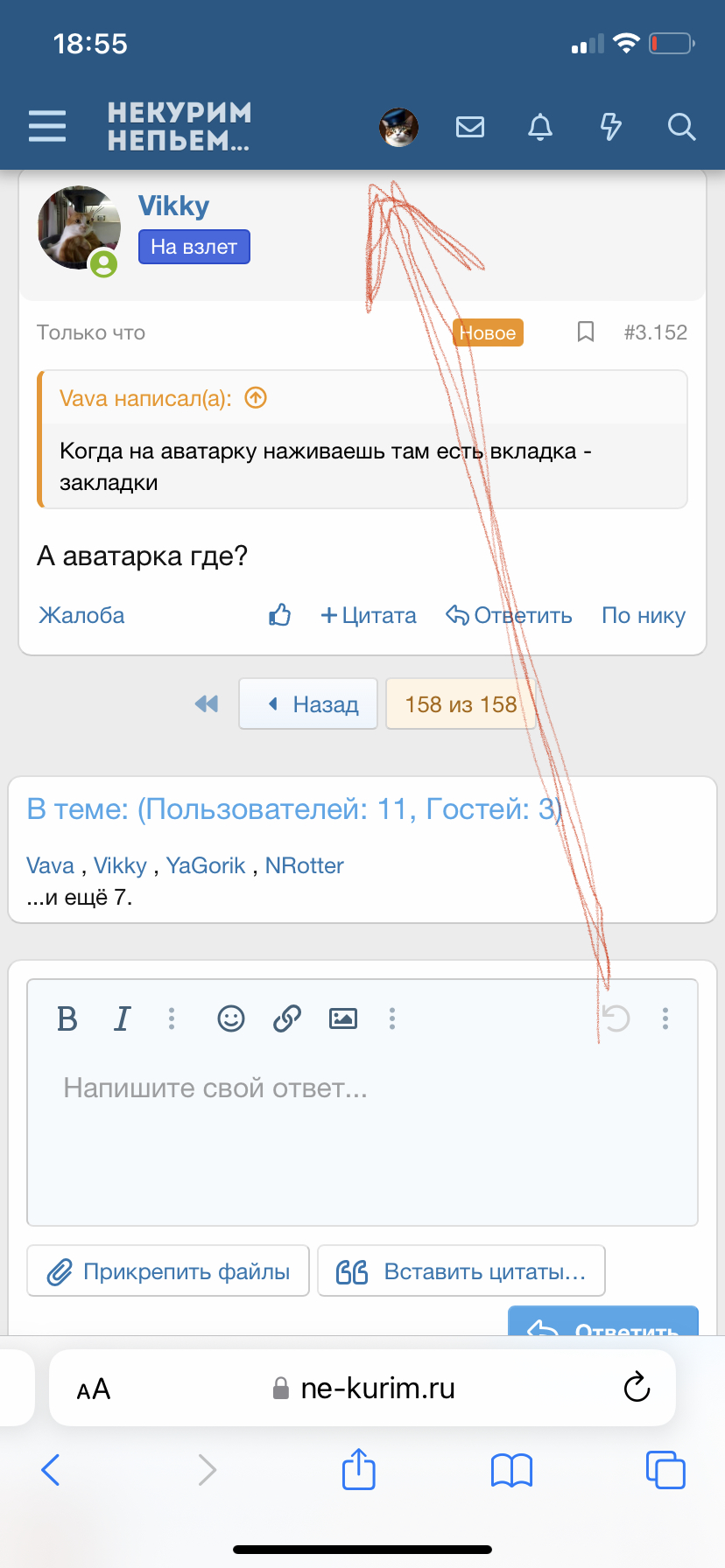 IMG_9377.jpeg