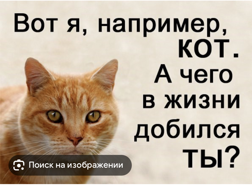IMG_9410.jpeg