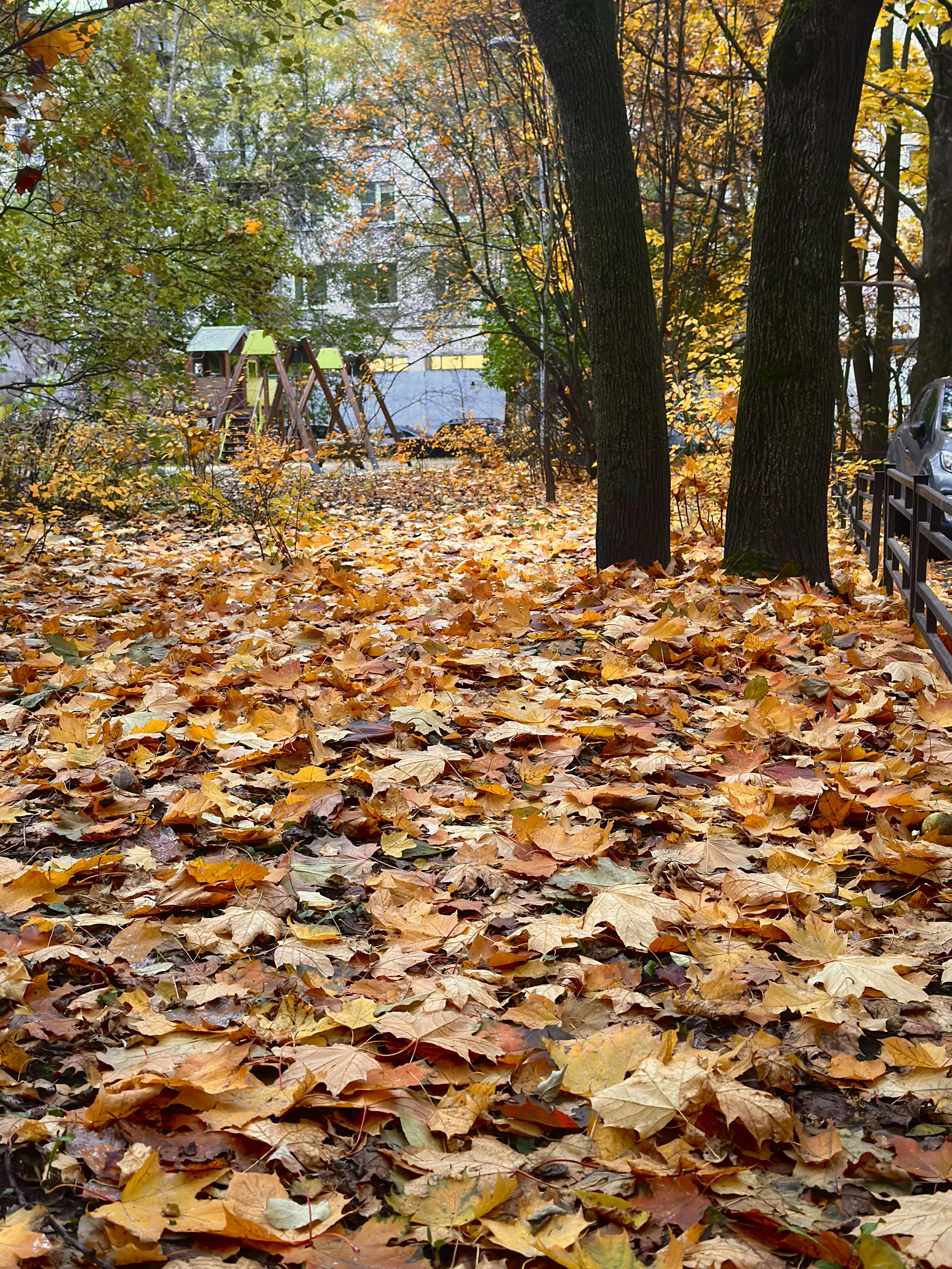 IMG_9770.webp