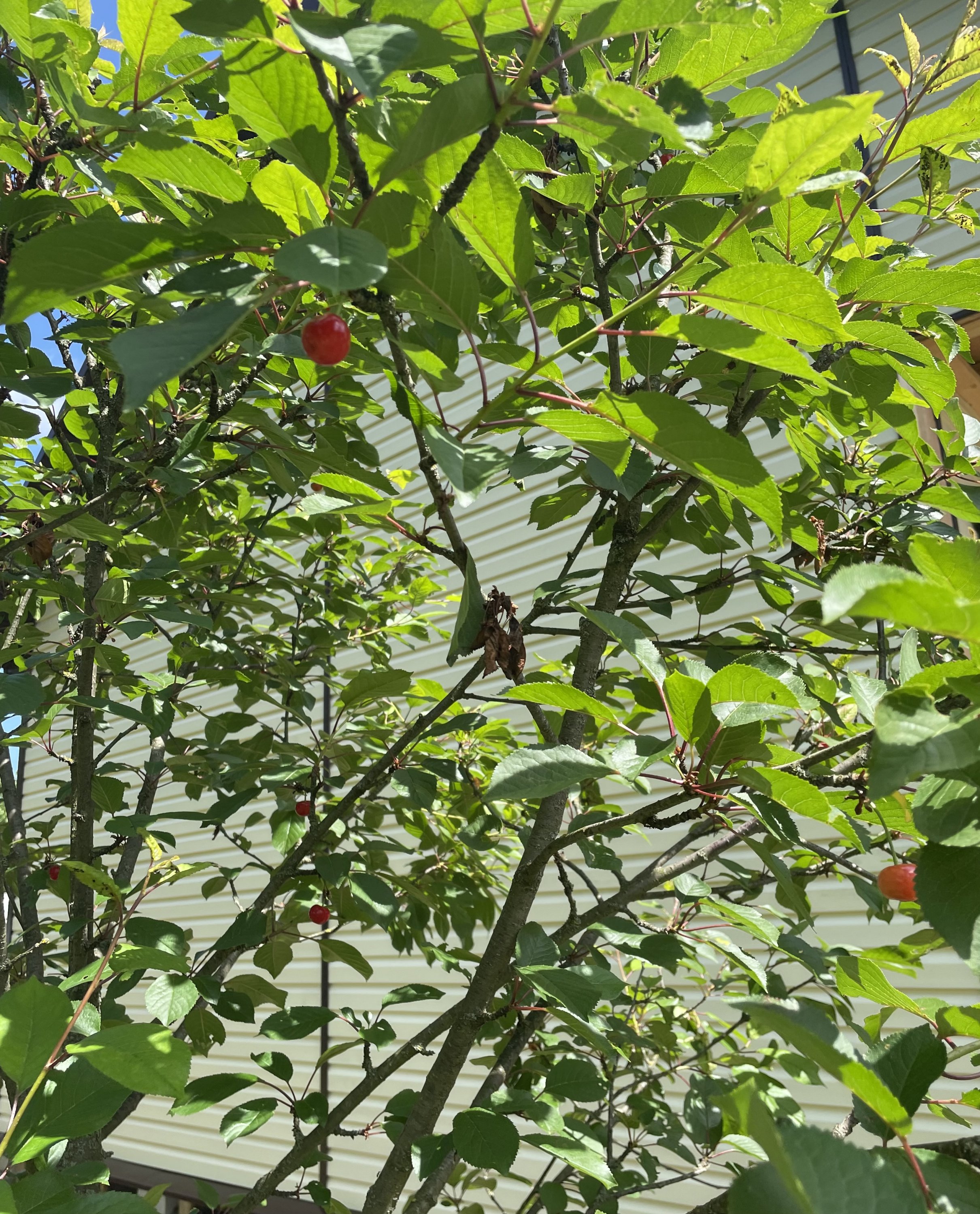 IMG_9856.jpeg