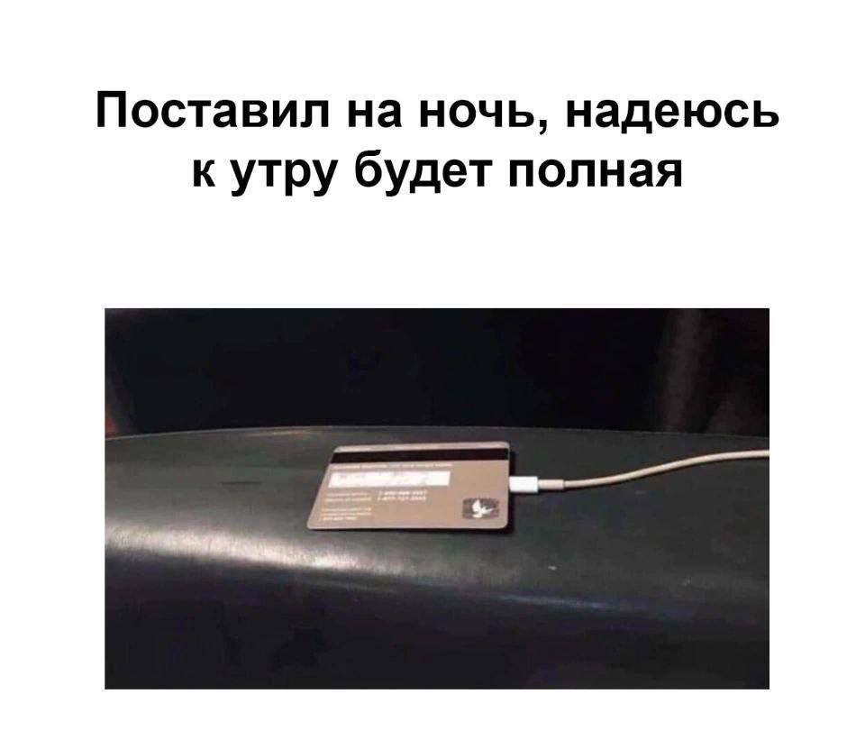 IMG_9956.jpeg