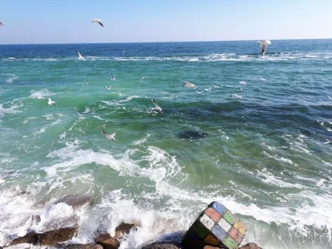 IMG_cb1b2d0dd06f1b859127eb92ce743da5_V_500 (1).webp